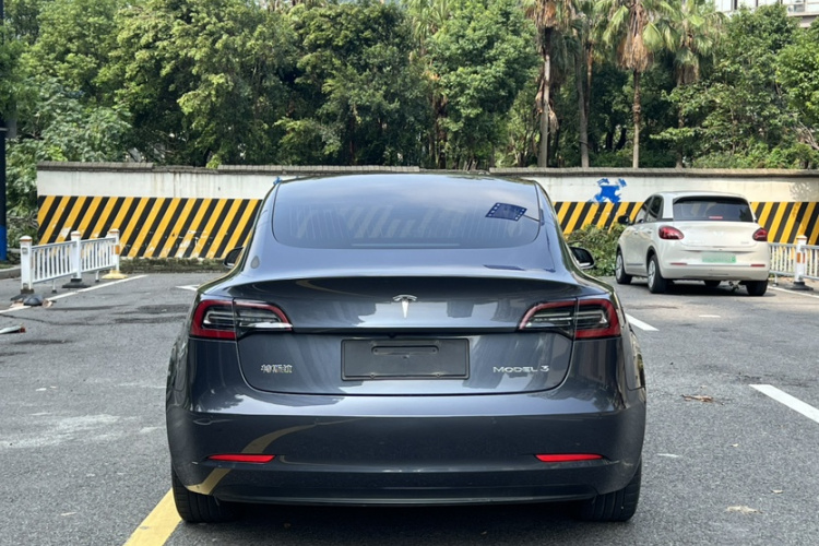 Tesla Model 3 2020 immagine di auto #7