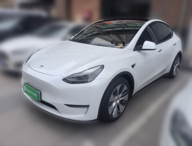 Tesla Model Y 2021 Tesla Model Y 2021 car image