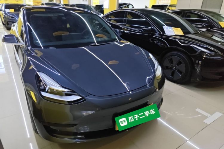 Tesla Model 3 2020 car image #4