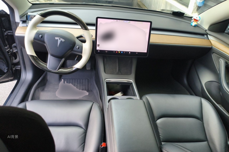 Tesla Model 3 2021 car image #11