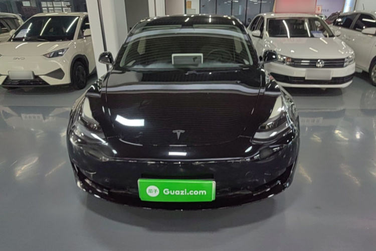 Tesla Model 3 2021 #3 Tesla Model 3 2021 car image #3