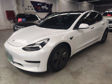 Tesla Model 3 2021 Tesla Model 3 2021 car image