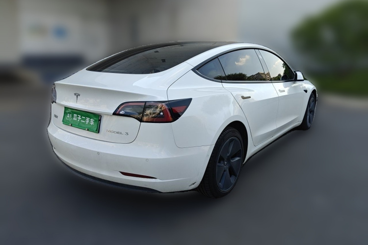 Tesla Model 3 2021 #5 Tesla Model 3 2021 car image #5