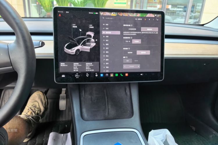 Tesla Model 3 2021 car image #15