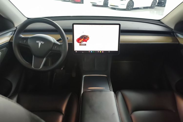 Tesla Model Y 2022 car image #10