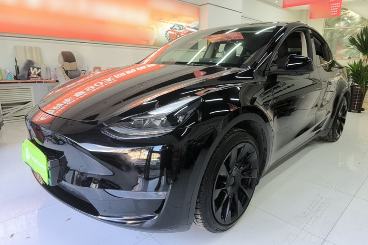Tesla Model Y 2021 #2 Tesla Model Y 2021 car image #2