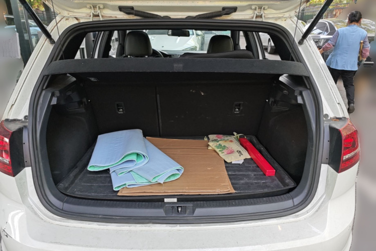 Volkswagen Golf 2017 car image #21