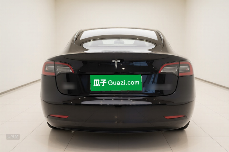 Tesla Model 3 2021 car image #6