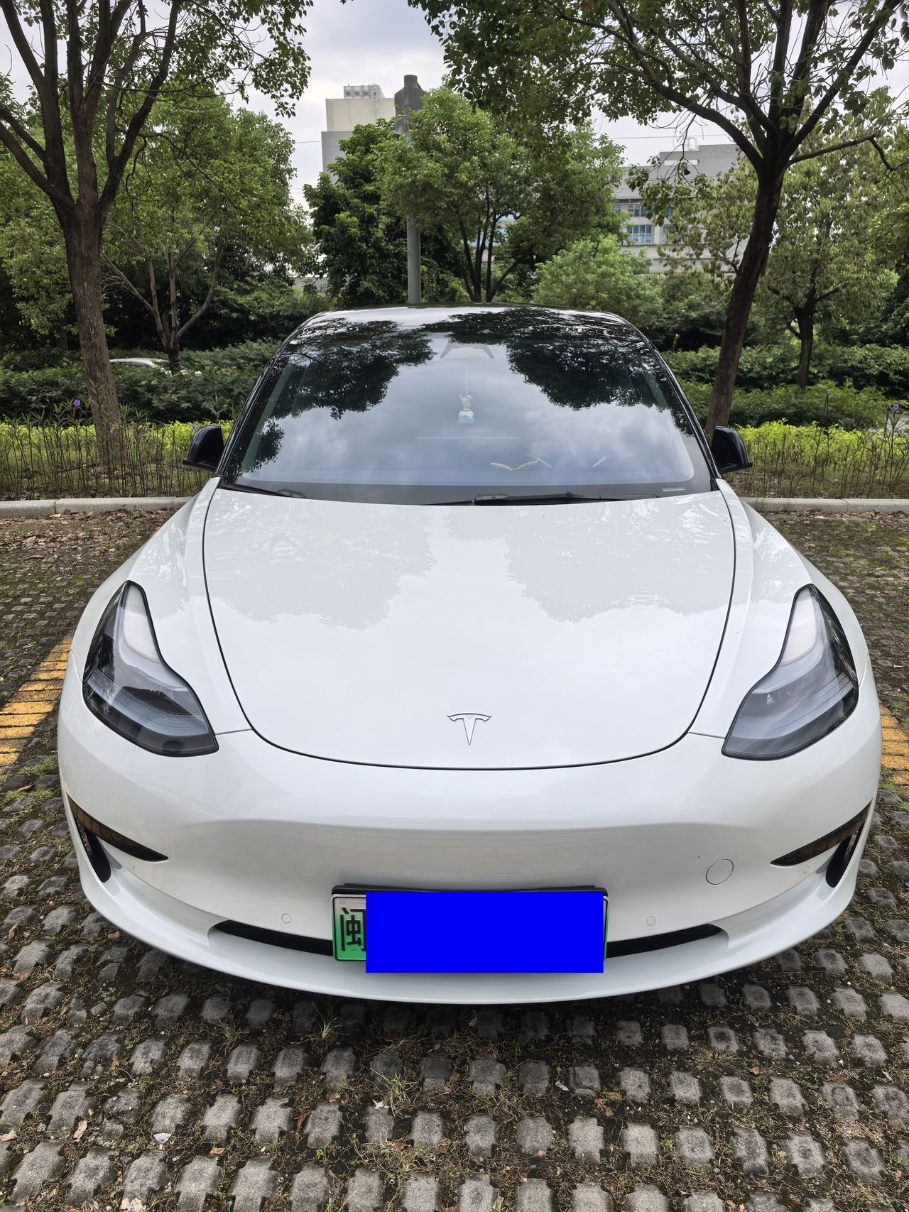 Tesla Model 3 2023 #2 Tesla Model 3 2023 car image #2