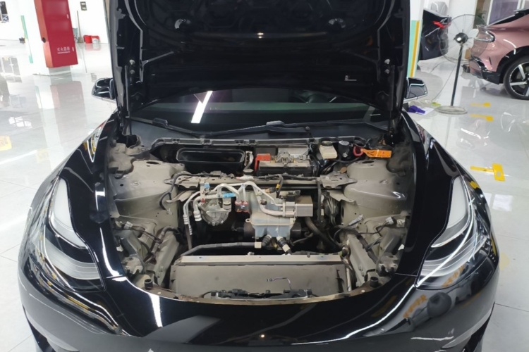 Tesla Model 3 2020 car image #22
