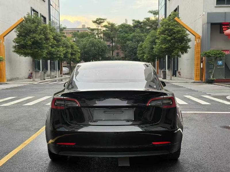 Tesla Model 3 2022 car image #5