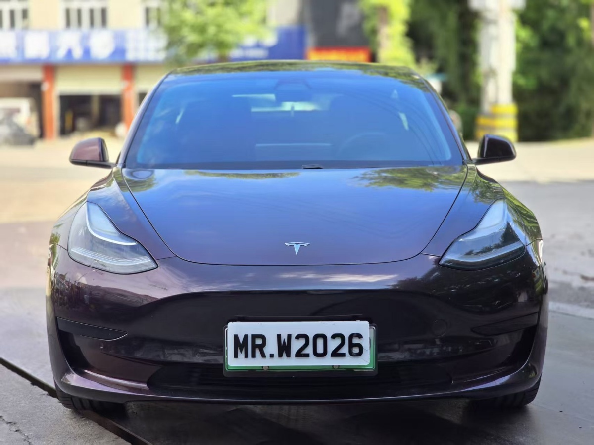 Tesla Model 3 2020 #2 Tesla Model 3 2020 car image #2