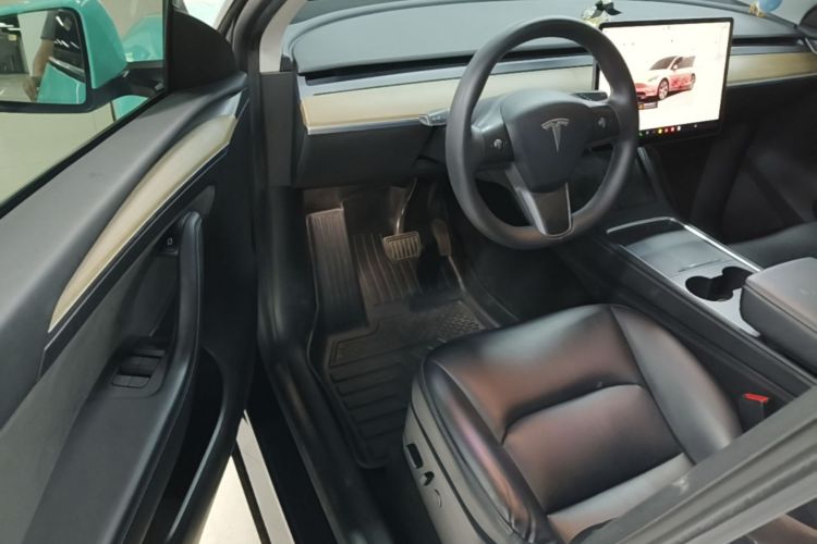 Tesla Model Y 2022 car image #16