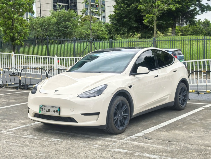 Tesla Model Y 2023 car image 