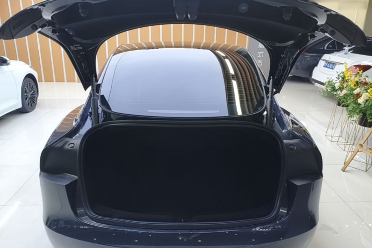Tesla Model 3 2024 #21 Tesla Model 3 2024 immagine di auto #21