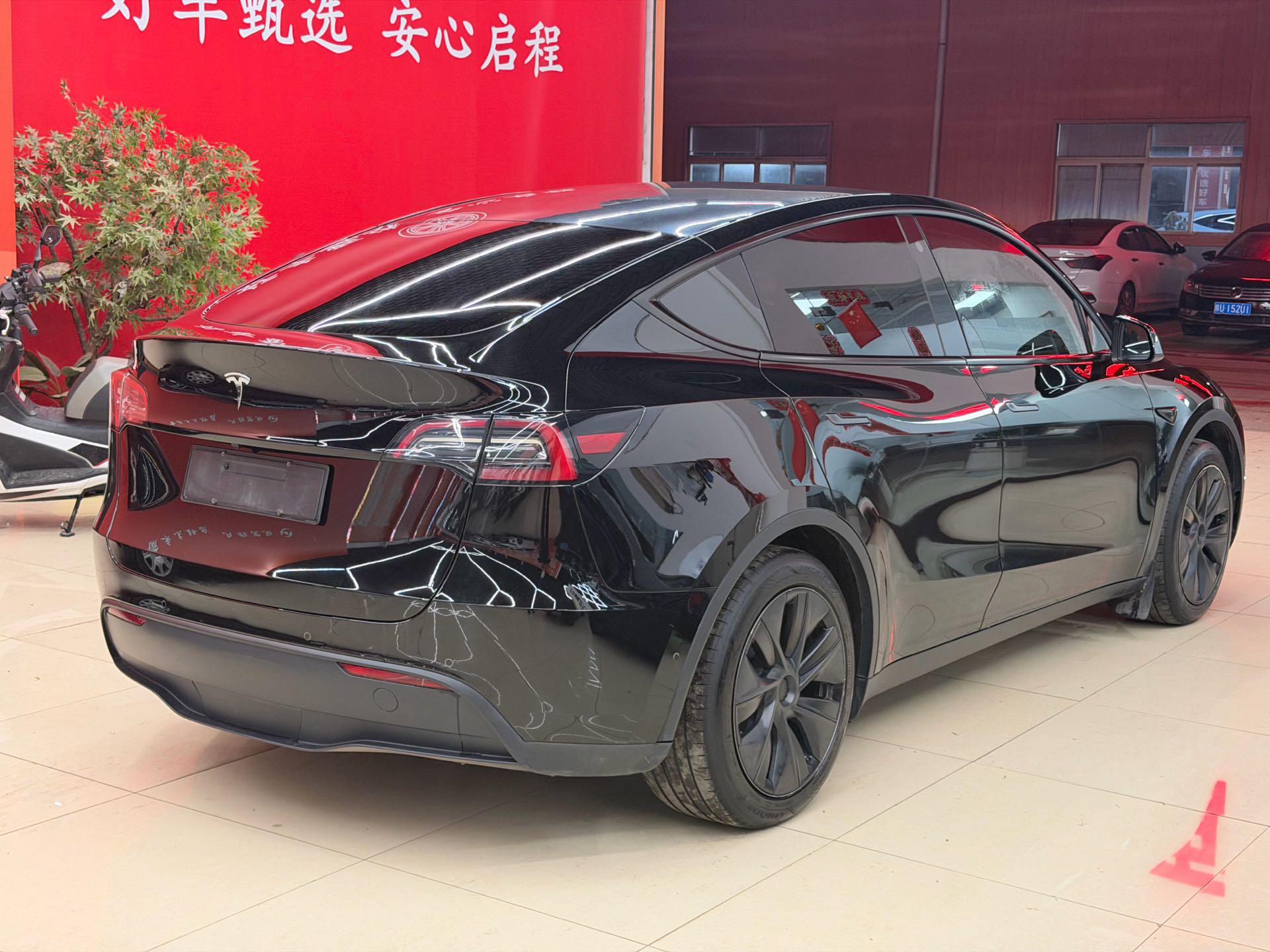 Tesla Model Y 2023 #7 Tesla Model Y 2023 car image #7