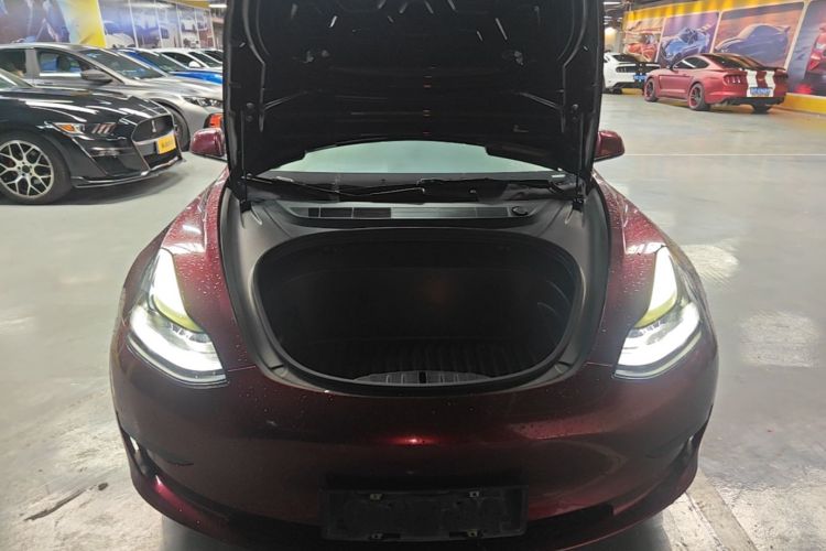 Tesla Model 3 2021 #20 Tesla Model 3 2021 car image #20