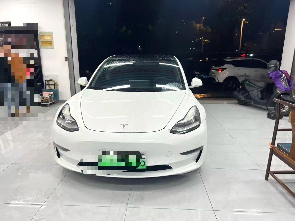 Tesla Model 3 2020 imagem de carro #2