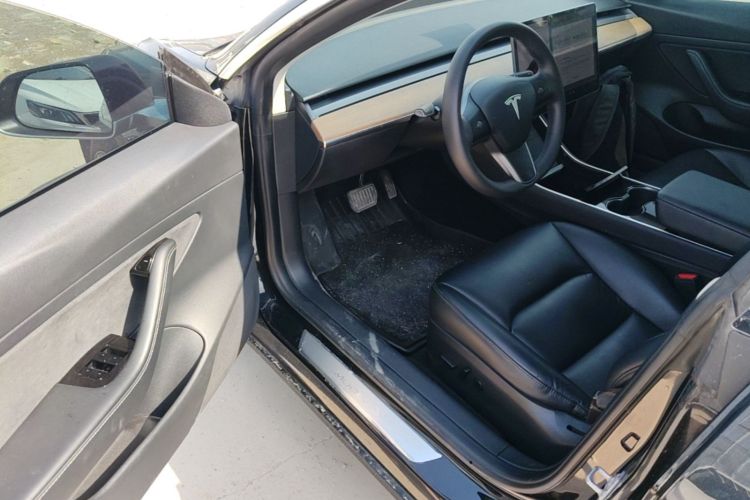 Tesla Model 3 2020 car image #16