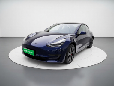 Tesla Model 3 2021 Tesla Model 3 2021 car image