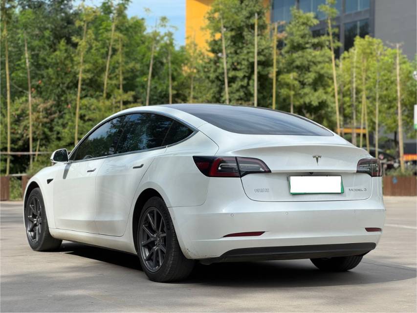 Tesla Model 3 2020 car image #4