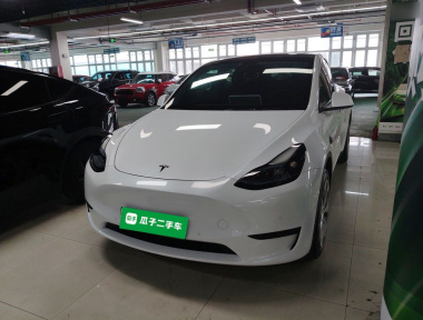 Tesla Model Y 2023 Tesla Model Y 2023 car image
