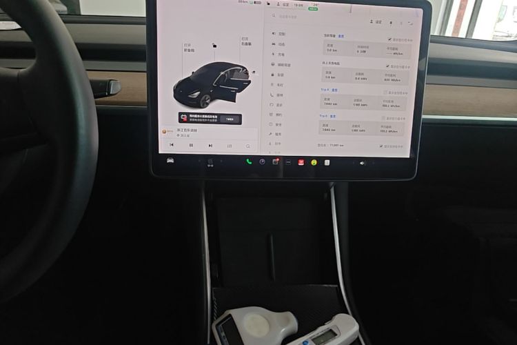 Tesla Model 3 2020 car image #13
