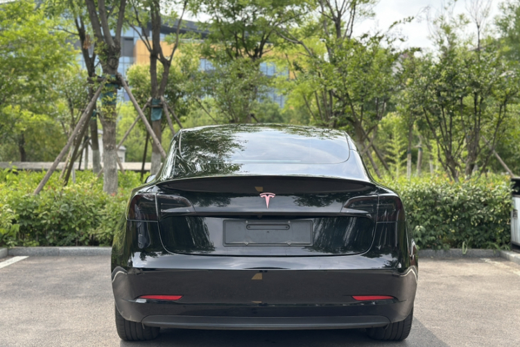 Tesla Model 3 2021 #6 Tesla Model 3 2021 car image #6