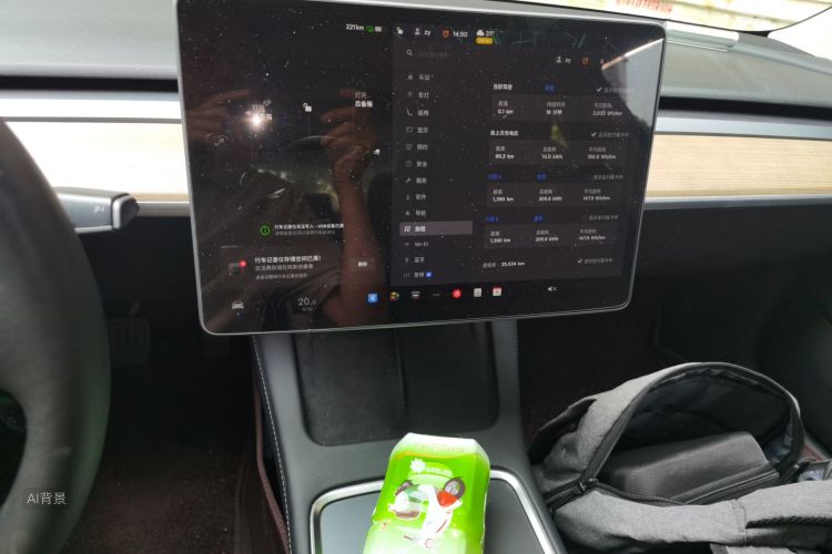 Tesla Model 3 2022 car image #15