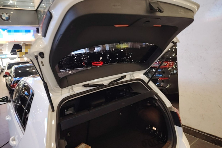 Volkswagen Golf 2019 car image #19
