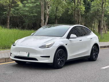 Tesla Model Y 2023 car image 