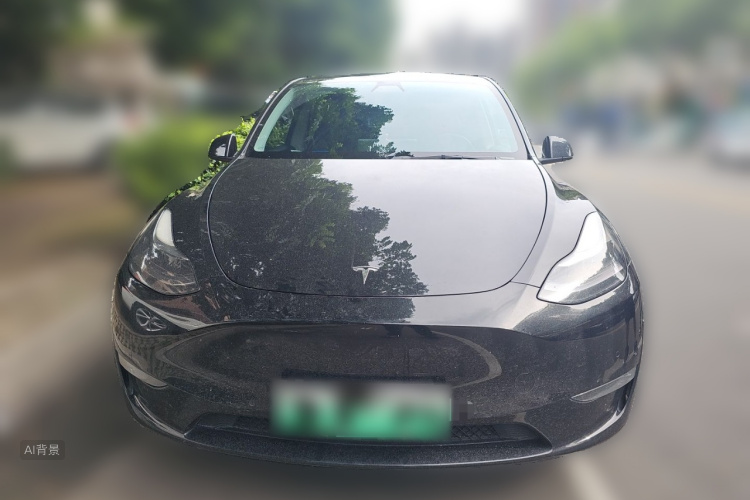 Tesla Model Y 2021 #3 Tesla Model Y 2021 car image #3