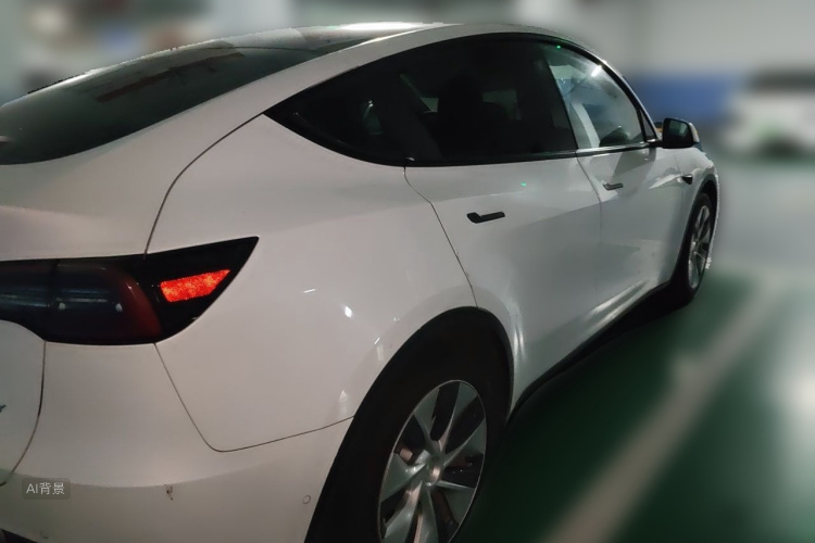 Tesla Model Y 2021 #7 Tesla Model Y 2021 car image #7