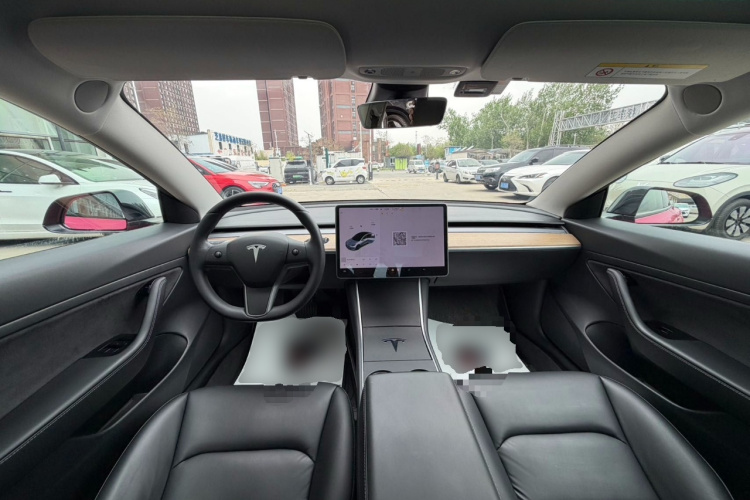 Tesla Model 3 2020 car image #10