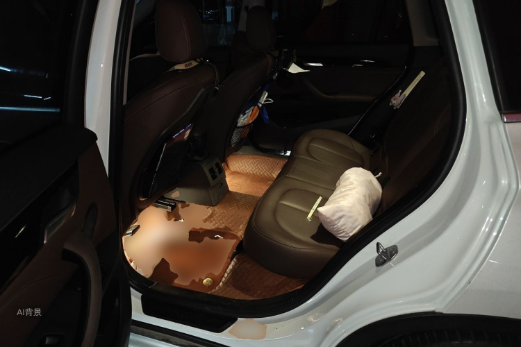 BMW X1 2019 #19 BMW X1 2019 car image #19