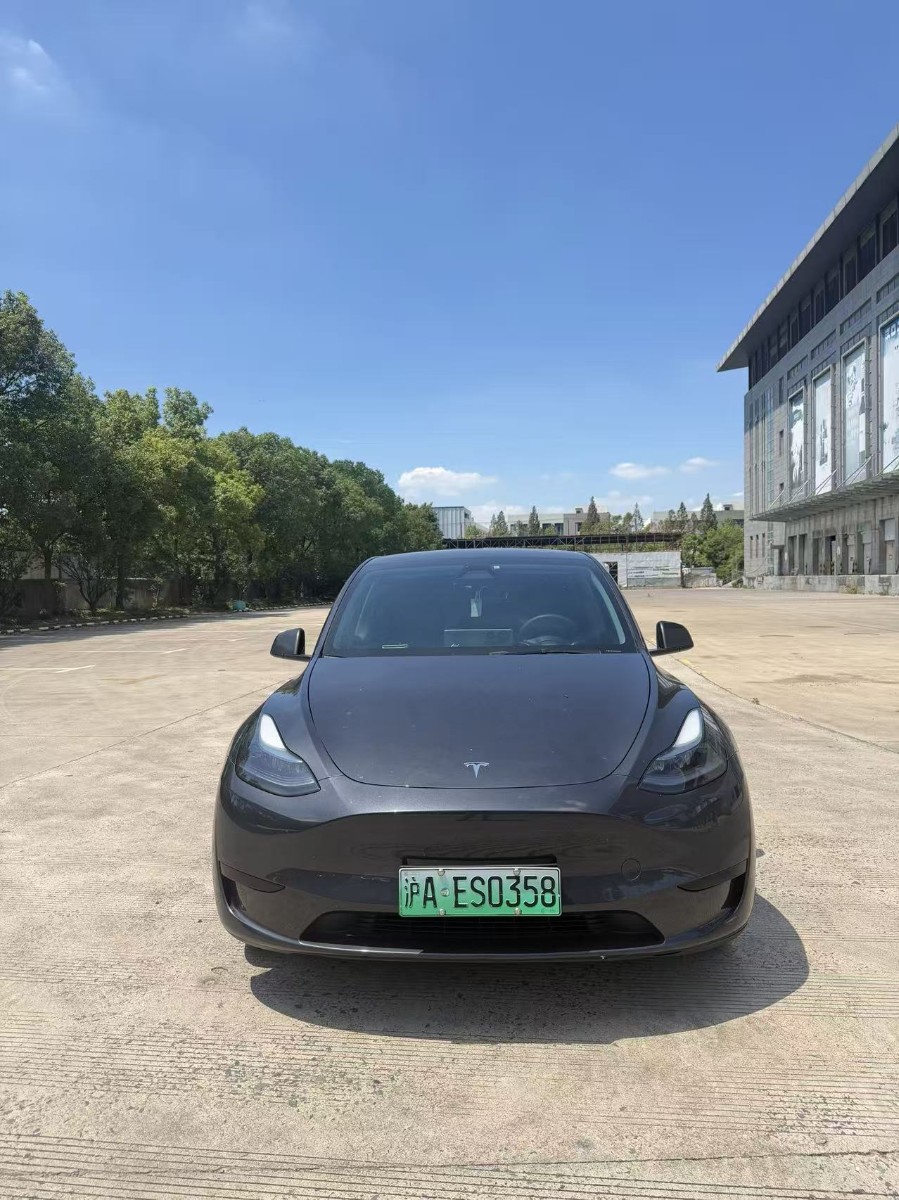 Tesla Model Y 2024 car image 