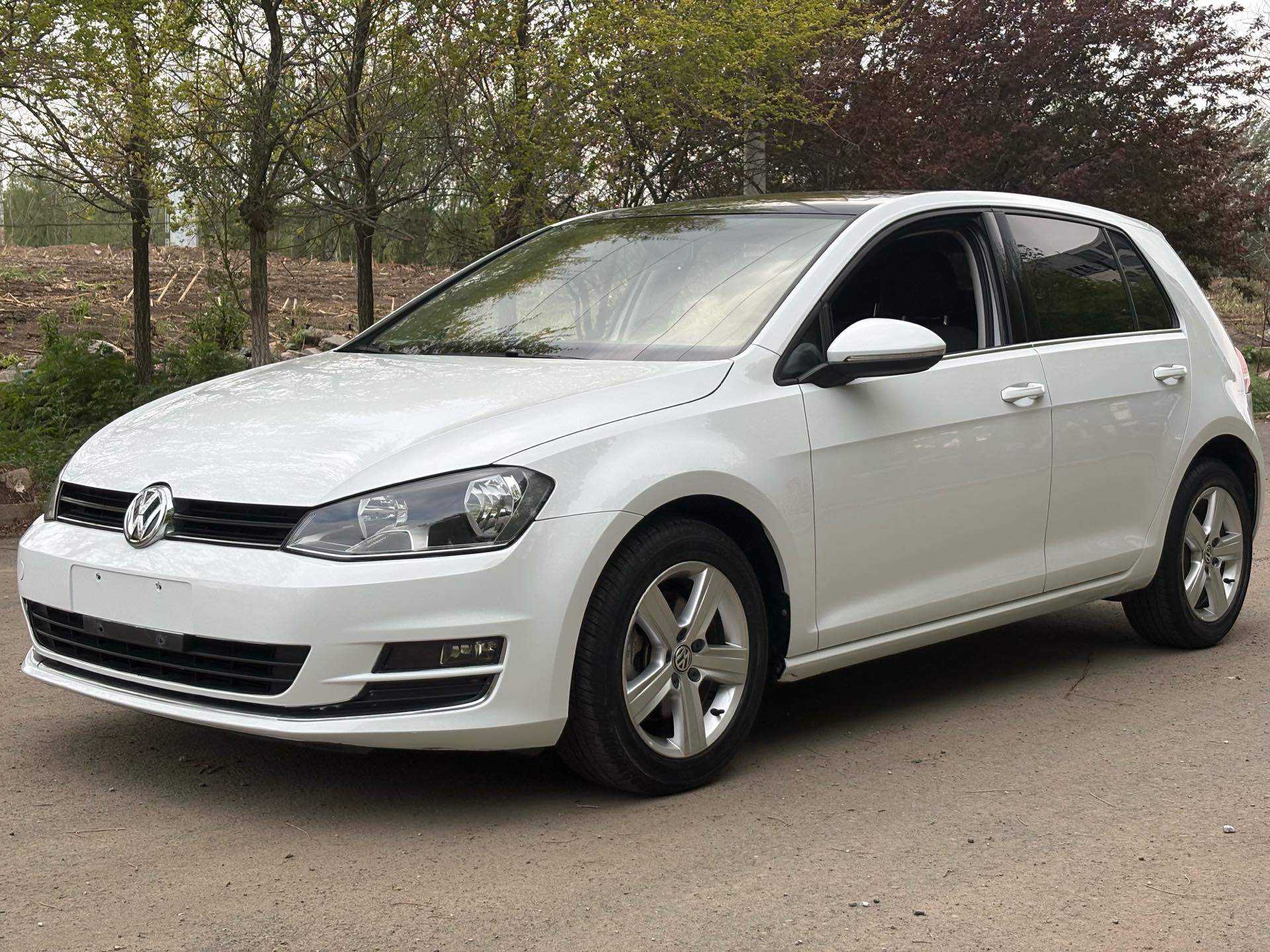 Volkswagen Golf 2016 Volkswagen Golf 2016 car image