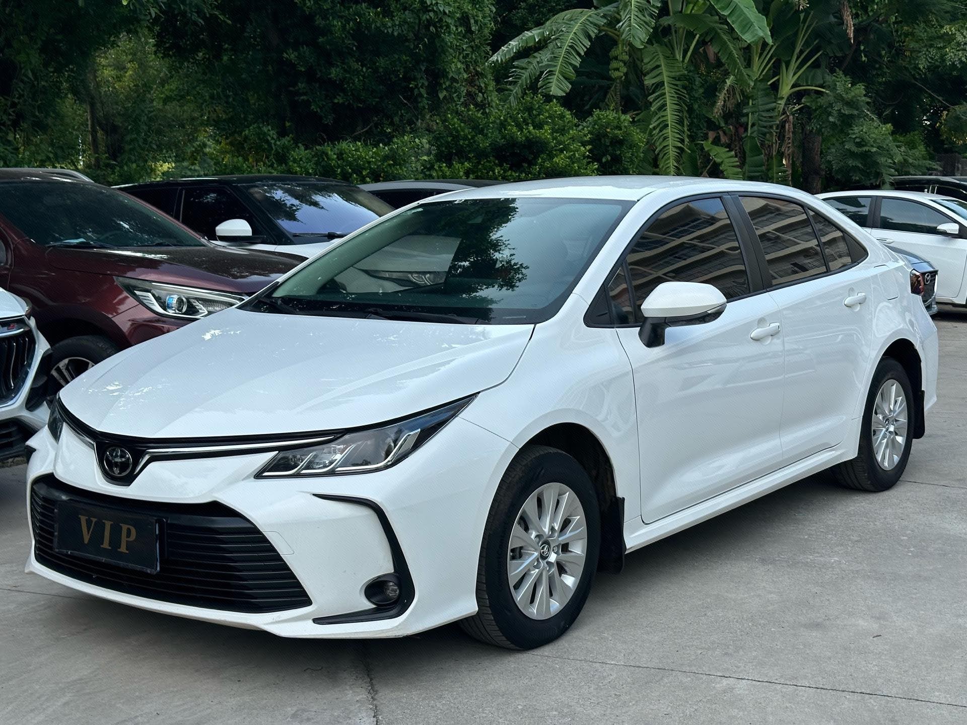 Toyota Corolla 2021 Toyota Corolla 2021 car image