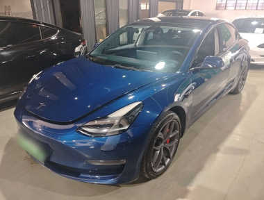 Tesla Model 3 2022 Tesla Model 3 2022 car image