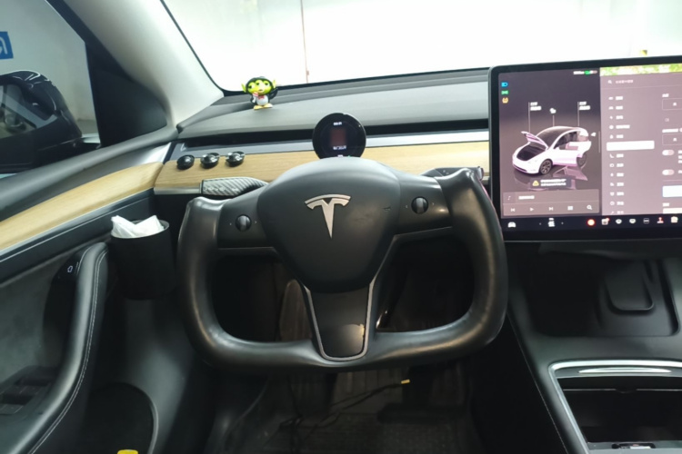 Tesla Model Y 2022 car image #11