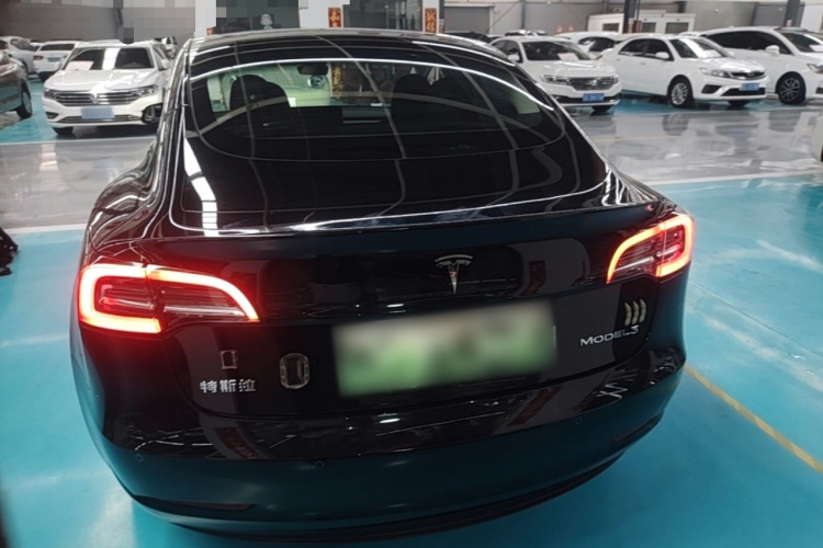 Tesla Model 3 2023 #4 Tesla Model 3 2023 car image #4