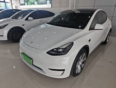Tesla Model Y 2022 car image 