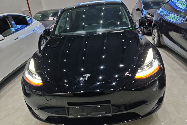Tesla Model Y 2023 #3 Tesla Model Y 2023 car image #3