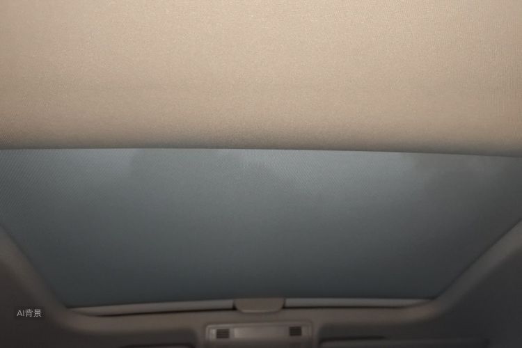 Volkswagen Polo 2021 car image #20