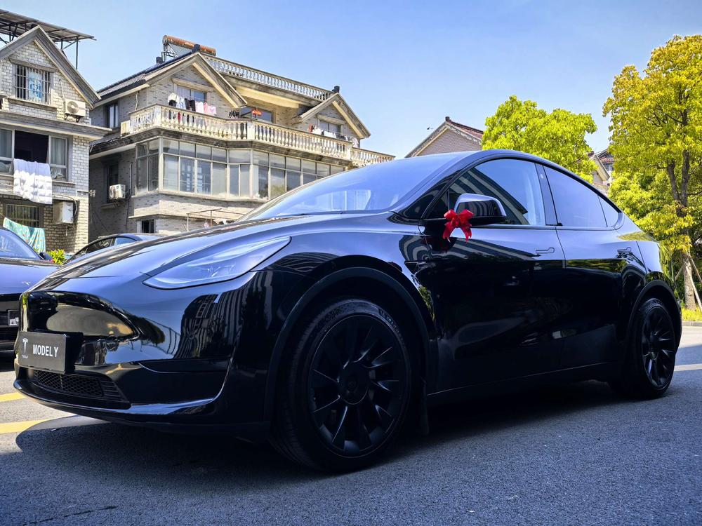 Tesla Model Y 2021 Tesla Model Y 2021 car image