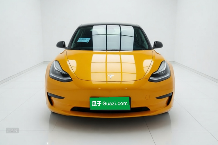 Tesla Model 3 2020 #3 Tesla Model 3 2020 car image #3