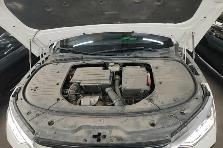 BYD Han 2022 #22 BYD Han 2022 immagine di auto #22