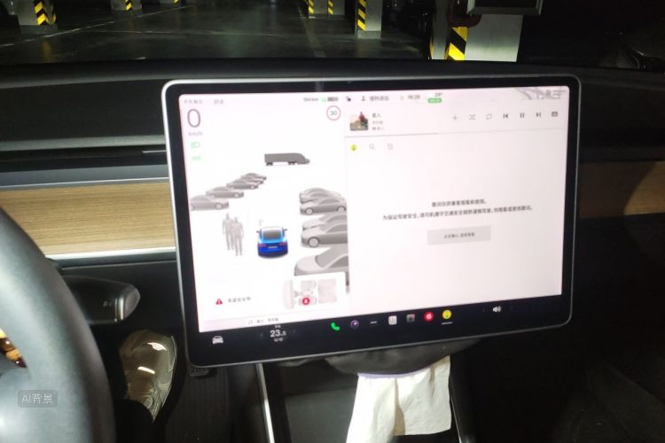 Tesla Model 3 2020 car image #13
