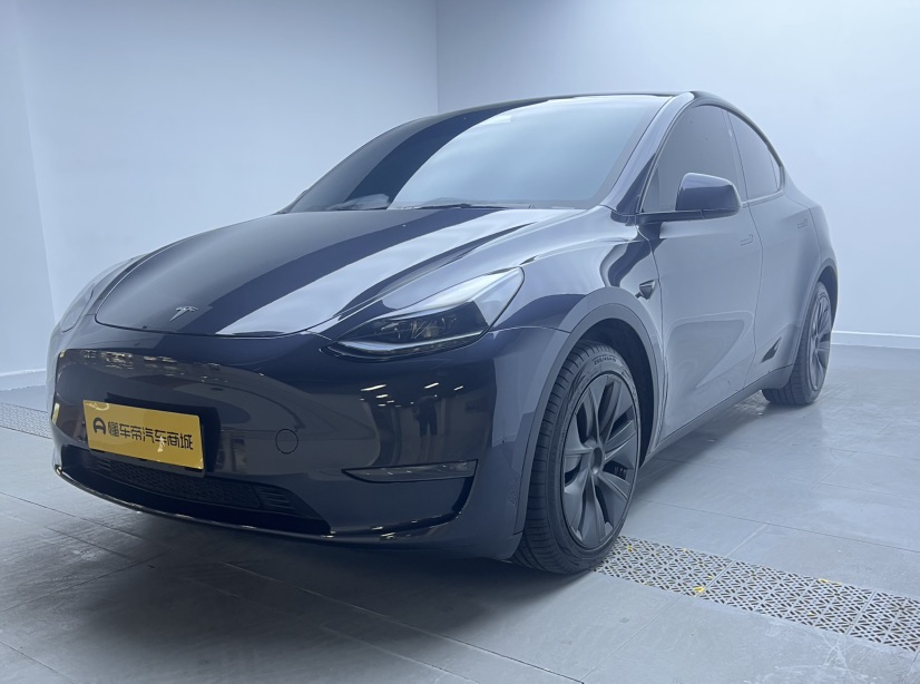 Tesla Model Y 2024 car image #2