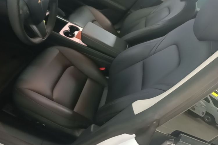 Tesla Model 3 2021 #15 Tesla Model 3 2021 car image #15